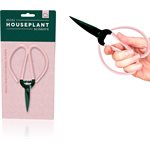 Ciseaux pour plantes d'intérieur