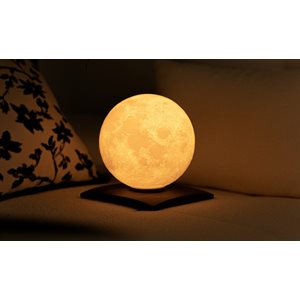 Large LunaSpin Lamp