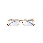 Lunettes de Lecture / Écran Tamesis Transparent Morocco 0.00