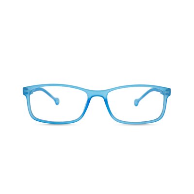 Reading / Screen Glasses Tamesis Blue 2.50
