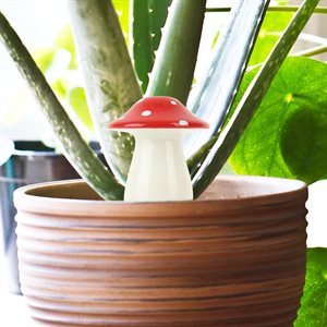 Self Watering Mushroom